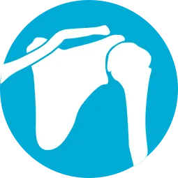 épaule