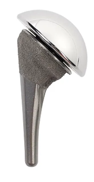 prothese épaule tige humérale anatomique